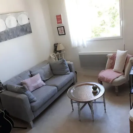 Cosy - 2 A 4 Pers - Aeroport - Vieux Blagnac