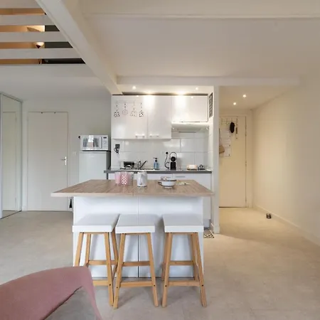 Appartement Cosy - 2 à 4 Pers - Aéroport - Vieux Blagnac
